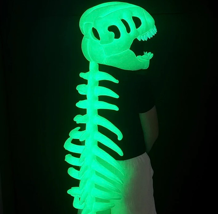 Fossil Snug